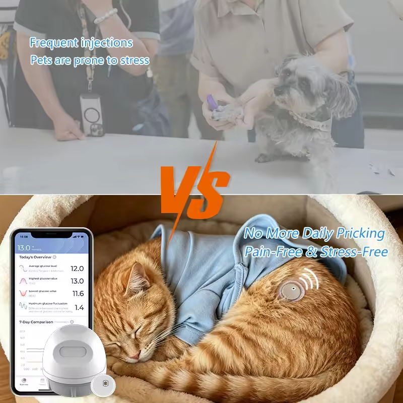2026 New Arrival High Precision Professional Veterinary CGM Continuous Glucose Monitor Dogs Cats 9-Day Monitoring System IP X8