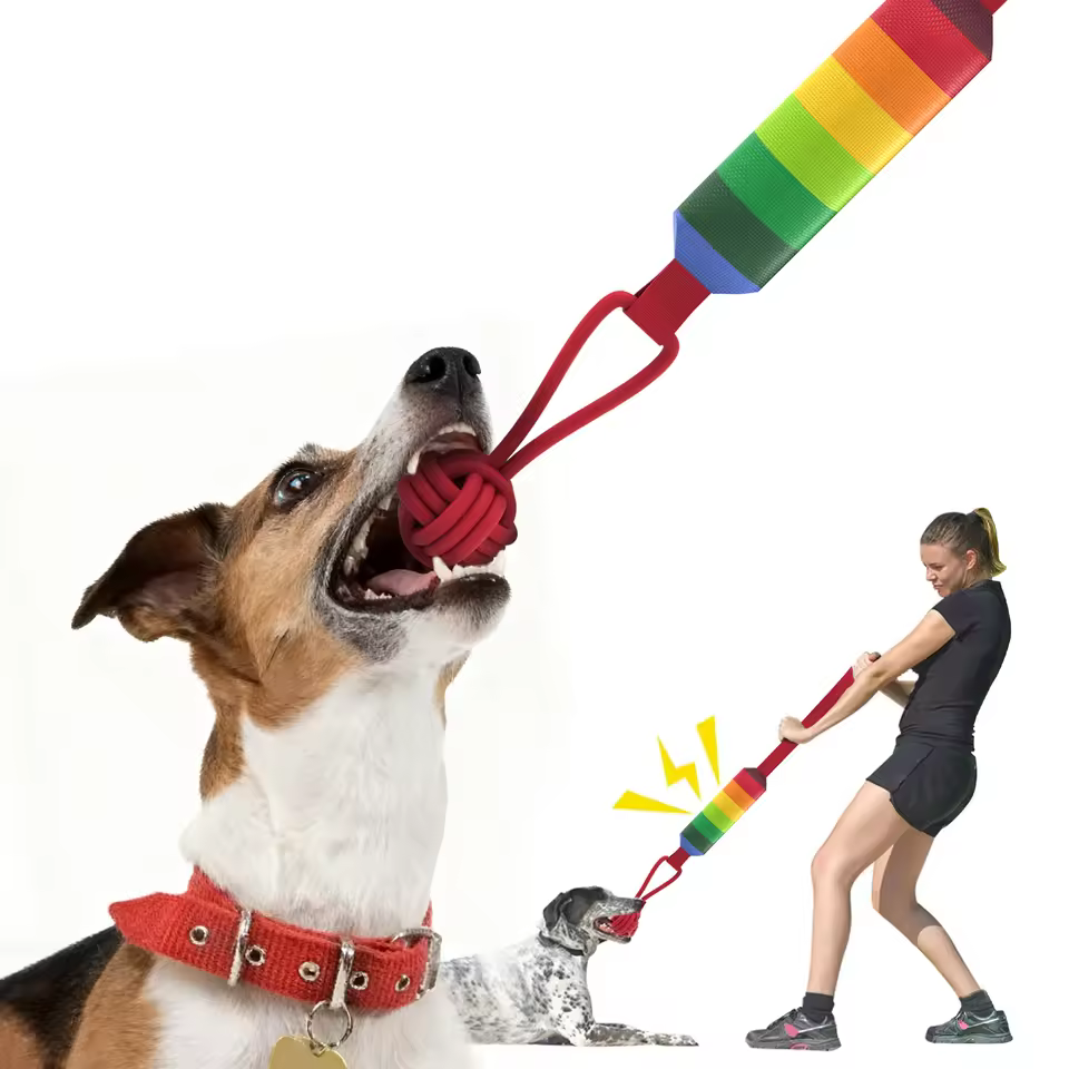 KINYU High Quality Eco-Friendly Cotton Pirate Rainbow Chew Dog Toys Shark Shape Interactive Sounding Exercise Teeth Cleaning Pet